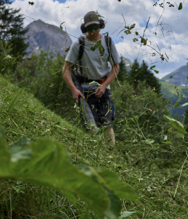 Gras mähen Gras mähen Lech am Arlberg